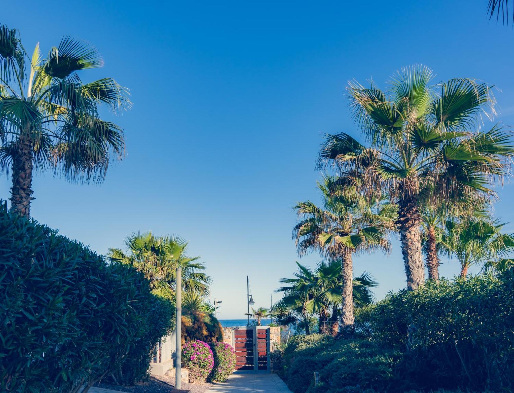 Apartamento Premium Con Jacuzzi Y Vistas Al Mar En Punta Prima, Torrevieja By Rentalole 외부 사진